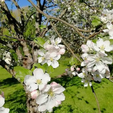 Διαμέρισμα Viihtyisae Kolmio Jaerven Rannalla *