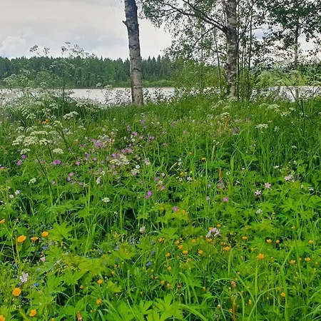 Viihtyisae Kolmio Jaerven Rannalla *
