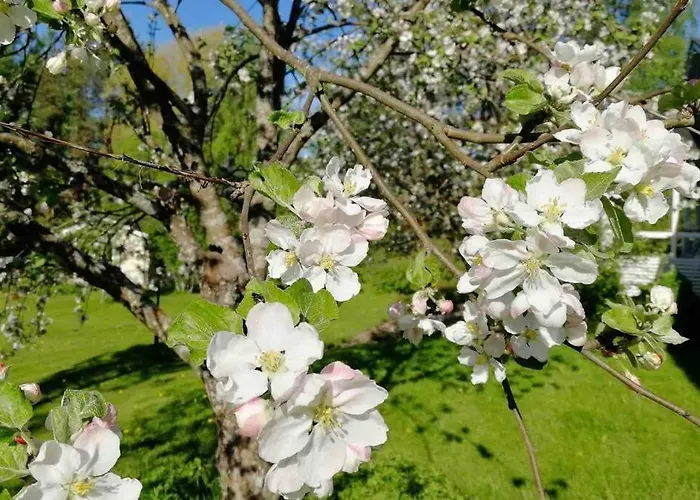 Appartement Viihtyisae Kolmio Jaerven Rannalla *
