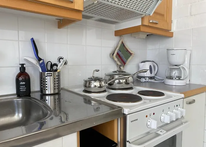 Viihtyisae Kolmio Jaerven Rannalla 公寓