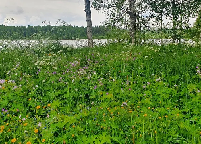 Viihtyisae Kolmio Jaerven Rannalla *